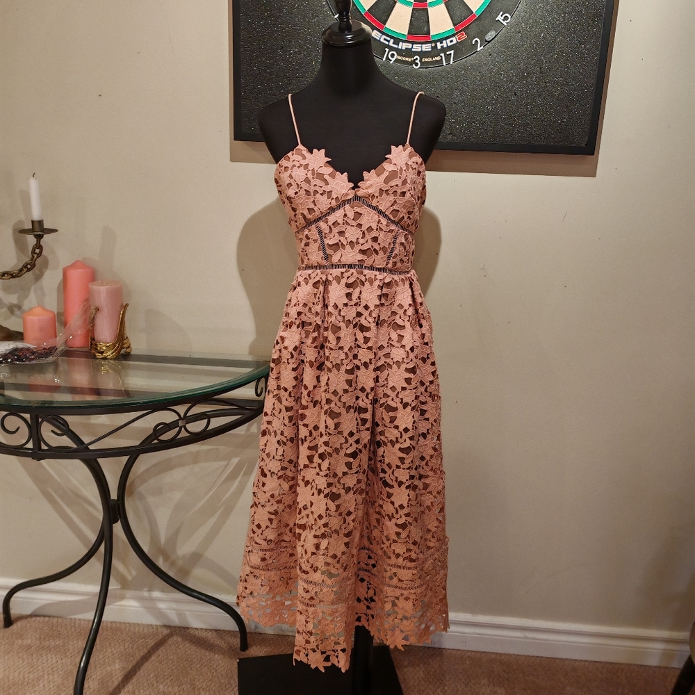 Self-Portrait Blush Pink Lace Midi Dress - Picture 8 of 16